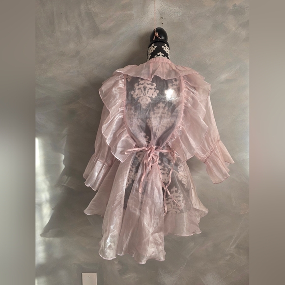 Baby Pink Organza Mesh Sheer Ruffled Mini Dress Top Sz 2X Wo Wo Wrap - Picture 4 of 16